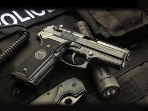 Firearms Information - Chatham-Kent Police Service